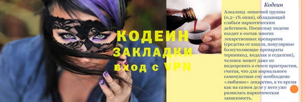 ECSTASY Алзамай