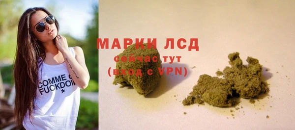 сатива Алексин