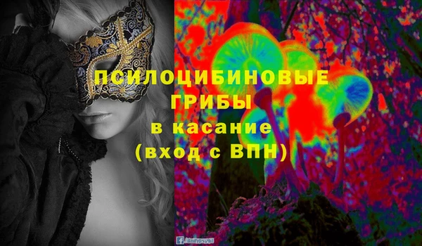сатива Алексин