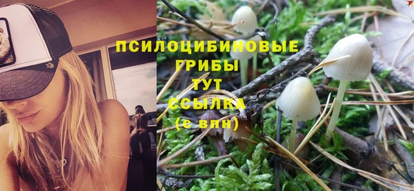 ECSTASY Алзамай