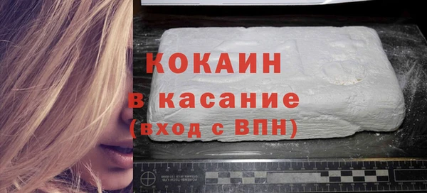 ECSTASY Алзамай