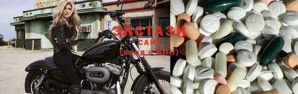 ECSTASY Алзамай