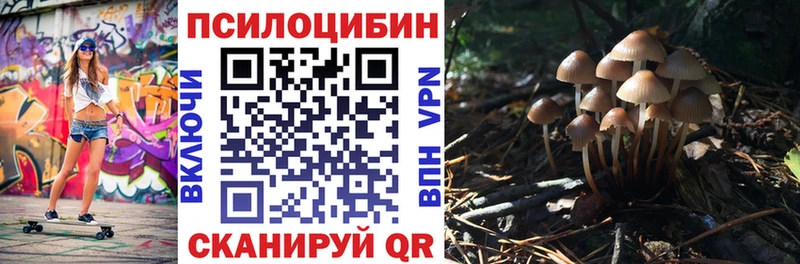 мега ТОР Чебоксары Галлюциногенные грибы прущие грибы