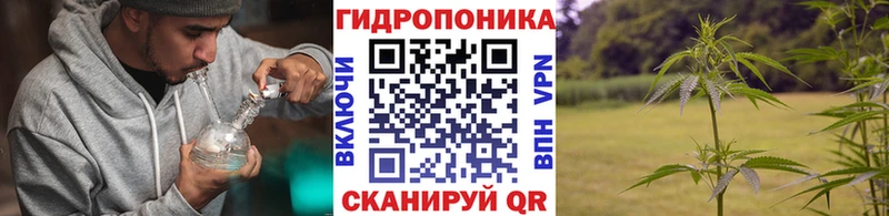 купить  сайты  hydra вход  Канабис THC 21%  Чебоксары 
